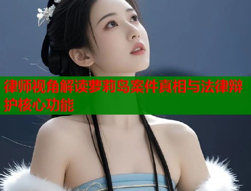 律师视角解读萝莉岛案件真相与法律辩护核心功能